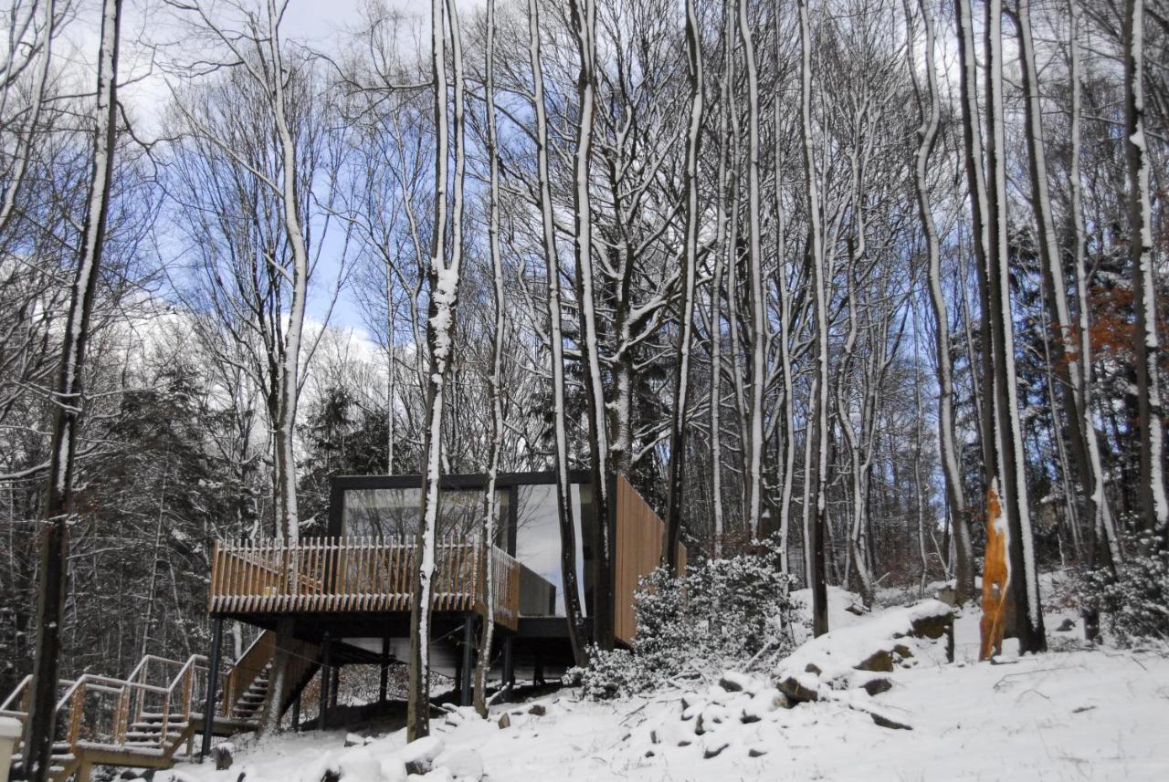 Gite Des Bois De ספא מראה חיצוני תמונה