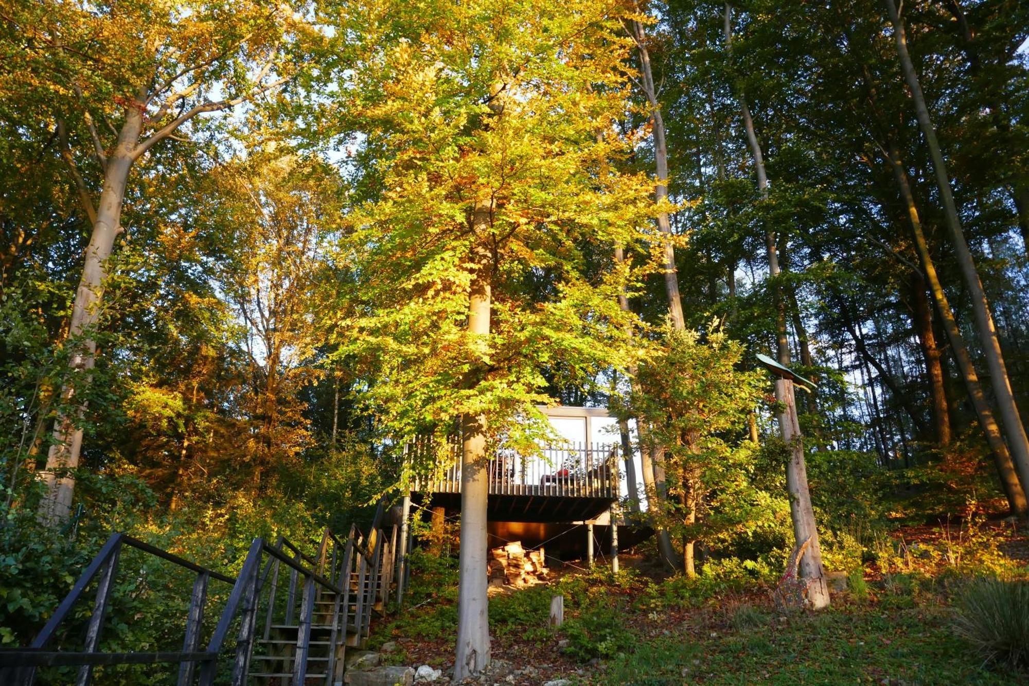 Gite Des Bois De ספא מראה חיצוני תמונה