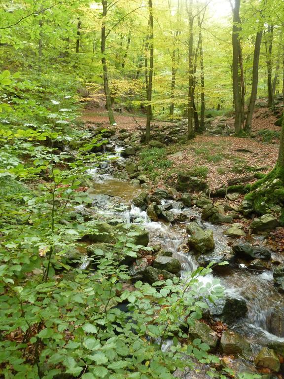 Gite Des Bois De ספא מראה חיצוני תמונה